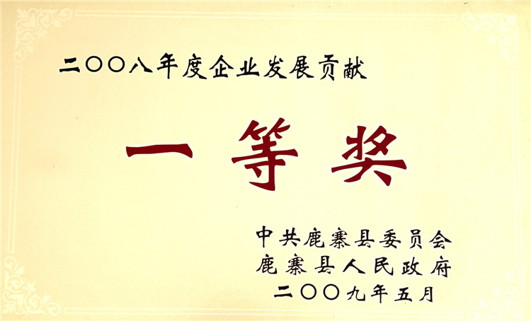 2008年度企業(yè)發(fā)展貢獻一等獎