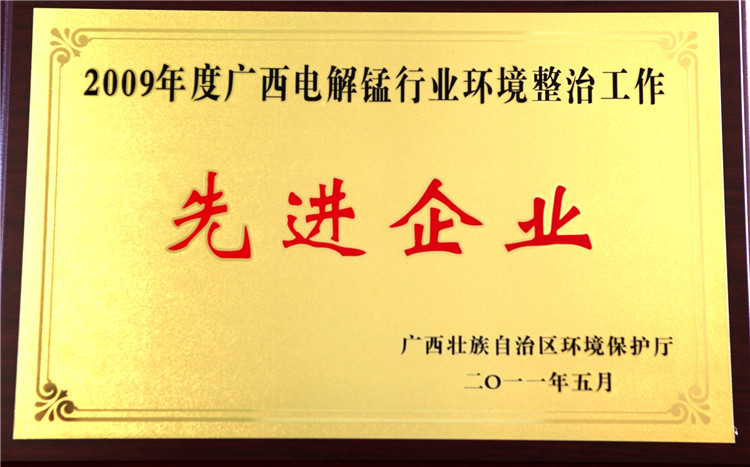 2009年度環(huán)境整治先進企業(yè)