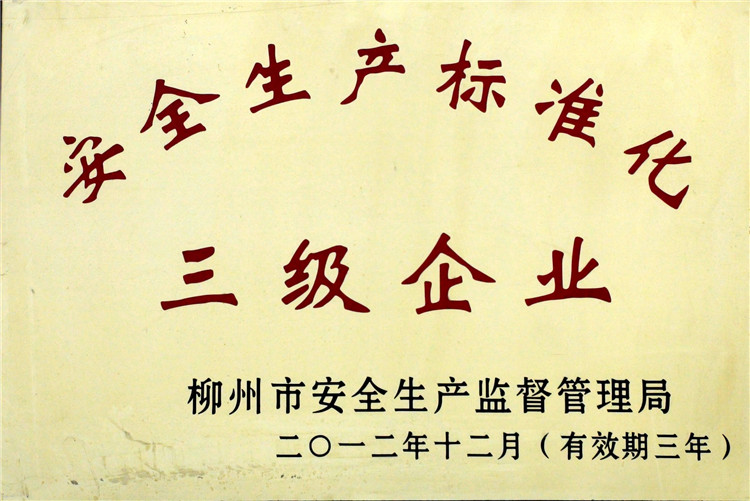安全生產(chǎn)標(biāo)準(zhǔn)化企業(yè)