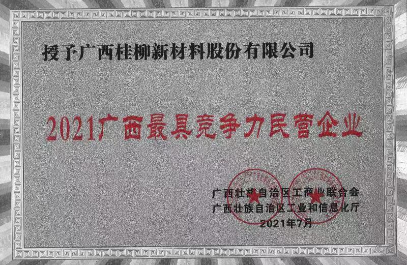 2021廣西最具競(jìng)爭(zhēng)力民營(yíng)企業(yè)